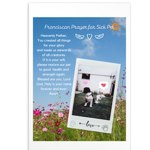 Franziskanische Gebetskarte für ein krankes Haustier auf einer Standard Postkarte mit Bild von zwei Hunden und Gras und Himmel Hintergrund, Christlich, Pray, Send, Post