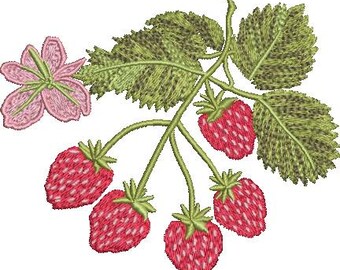 Strawberry on the Vine-borduurontwerp direct downloaden - meerdere maten - 8 formaten
