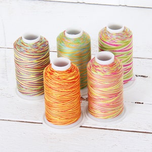 Multicolor Cotton Quilting Thread Set - 5 Party Variegated Spools - 600 Meters