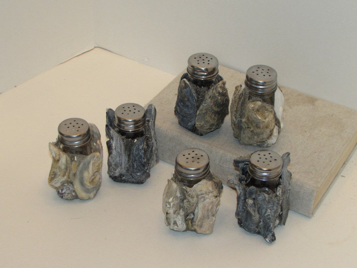 Salt and pepper shakers covered in oyster shells Etsy