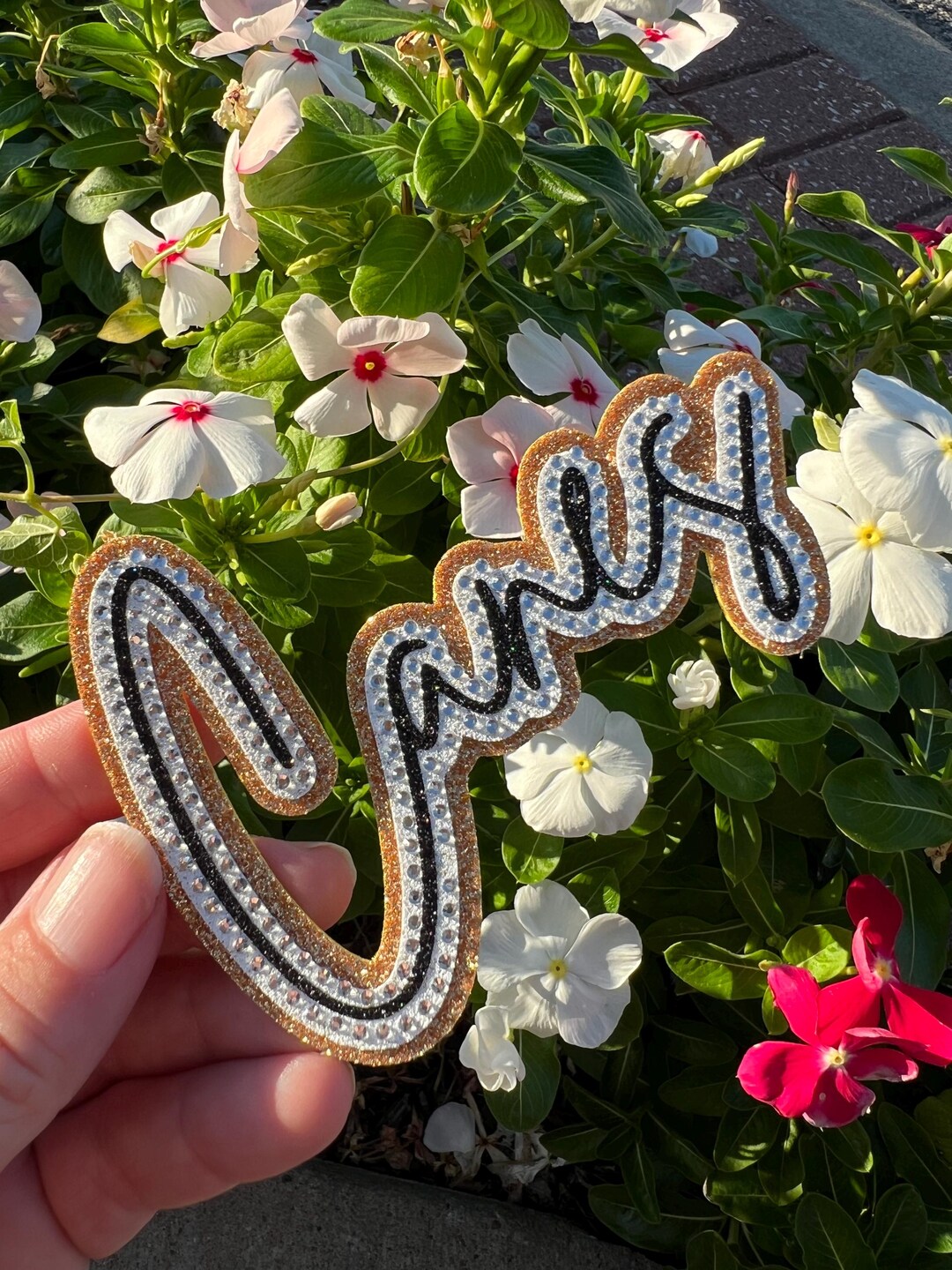 Canes *3D Glitter Mascot Rhinestone Hat Patch* Iron-on Adhesive - Etsy