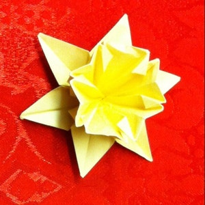 Jonquille d’origami