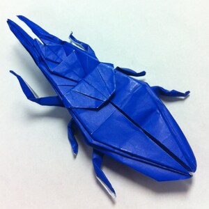 Coléoptère origami