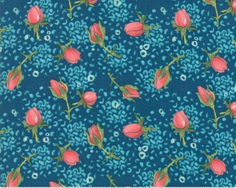 Abby Rose 48626-122 Moda Fabrics Robin Pickens Priced Per Half Yard
