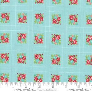 Last 23&quot;! Little Snippets Aqua 55187 12 by Bonnie and Camille for Moda Fabrics