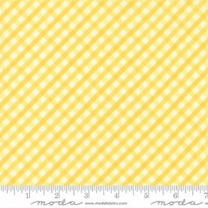 Last 31&quot;! Acreage 45507 13 by Shannon Orr for Moda Fabrics