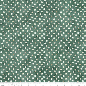 Hop Hop Hooray C14276 Teal by Teresa Kogut for Riley Blake Designs - by the half-yard