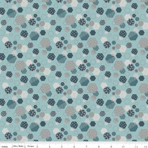 Fossil Rim C6612 BLUE by Deena Rutter for Riley Blake Fabrics - by the half-yard