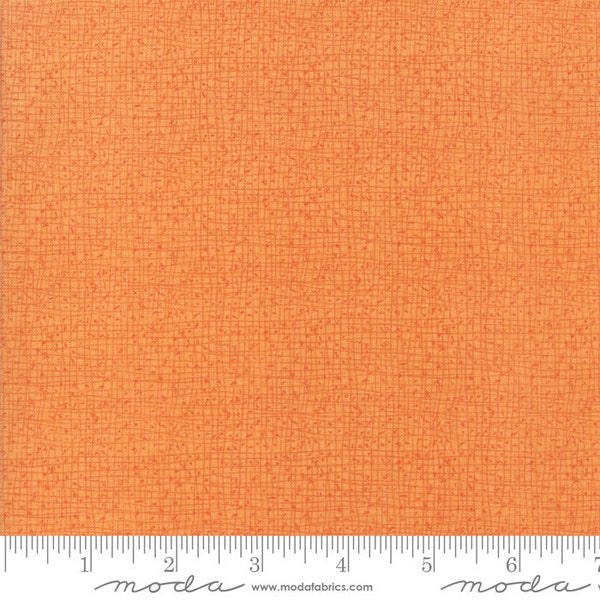 Abby Rose Citrus 48626 123 by Robin Pickens for Moda Fabrics - by the half-yard