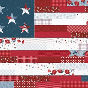 American Dream P11937 Panel by Dani Mogstad for Riley Blake Fabrics