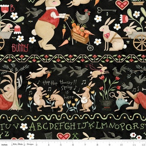 Last 27&quot;! Hop Hop Hooray C14277 Black by Teresa Kogut for Riley Blake Designs