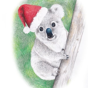 Australian Koala Christmas card, Australian Gift, Santa Hat, Koala Bear image 2