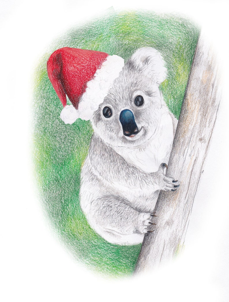 Australian Koala Christmas card, Australian Gift, Santa Hat, Koala Bear image 2