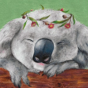 Koala Baby, Australian Native Animal, Greeting Card image 3