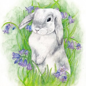 Bunny Greeting Card, Blubells, Little Rabbit image 2