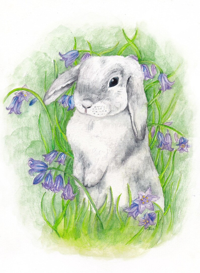 Bunny Greeting Card, Blubells, Little Rabbit image 2