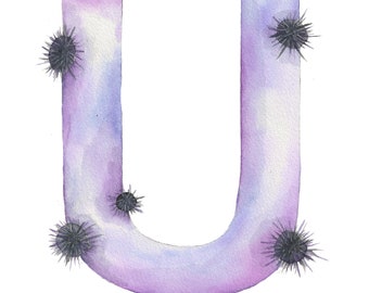 Letter U nameplate