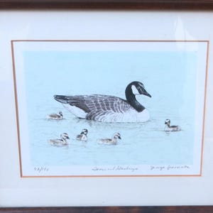 1977 G. Speranta Goose And Gooslings 6 Color Lithograph Merrill Chase Chicago 92/190