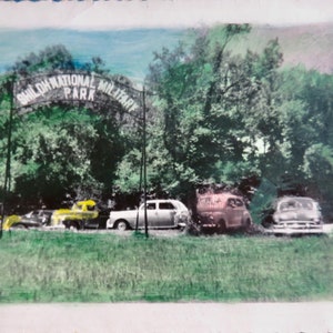 1940s Shiloh National Military Park Tinted Snapshot Photograph