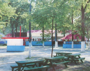 Vintage 1950's Riverview Chicago Amusement Park Chrome Postcard - Picnic Groves
