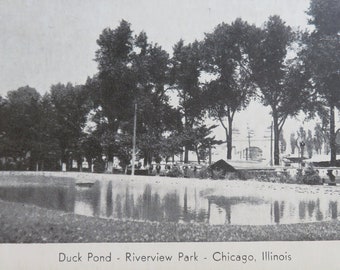 Original 1910's Riverview Chicago Amusement Park Photo Postcard - Duck Pond