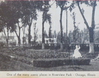 Original 1910's Riverview Chicago Amusement Park Photo Postcard - One Of The Scenic Places
