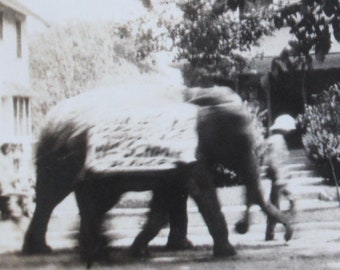 Vintage 1920's The Circus Came To Town Circus Parade Snapshot Photo
