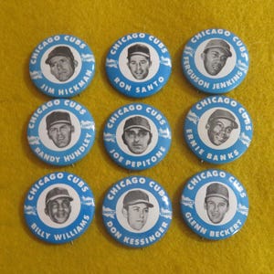 May include: Nine round blue and white Chicago Cubs buttons with player photos and names. The buttons feature players like Jim Hickman, Ron Santo, Randy Hundley, Joe Pepitone, Ferguson Jenkins, Ernie Banks, Billy Williams, Don Kessinger, and Glenn Beckert.