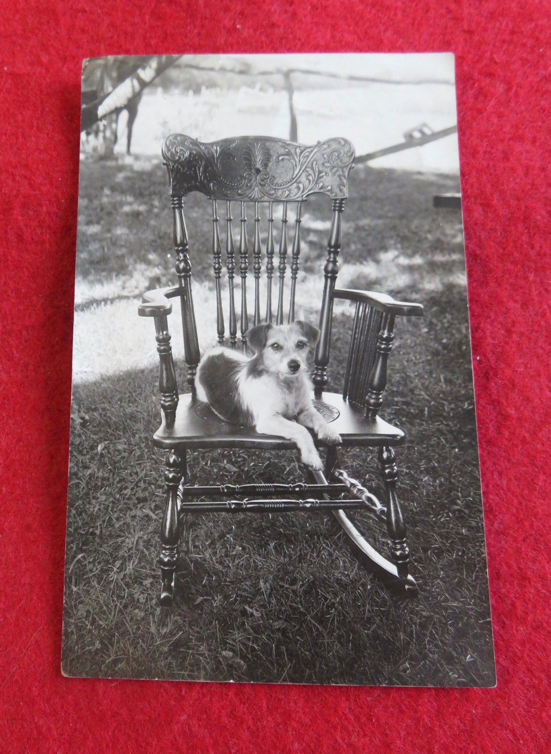 Adorable 1909 Little Puppy Dog Canine on Rocking Chair RPPC Real Photo ...