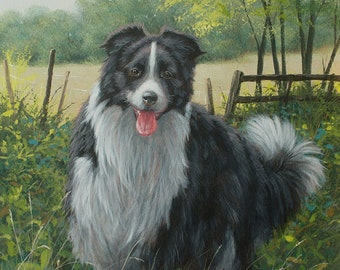 Border Collie Dog Realist Portrait. Original Detailed Painting by UK artist JOHN SILVER B.A. 16 x 12 inches on Canvas Panel.
