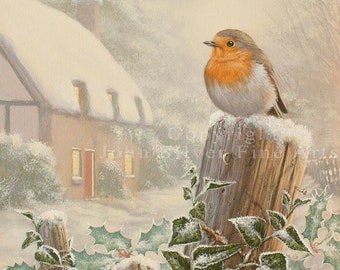 Robin Bird Portrait. Original Painting by award winning UK Master Artist JOHN SILVER. On Premium Quality Fine Canvas Panel.