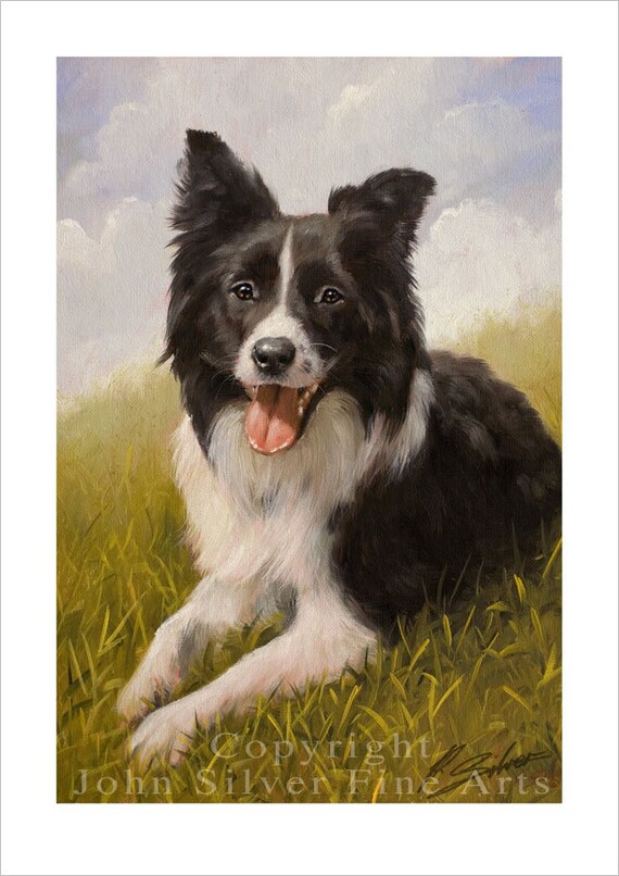 Border Collie Dog Portrait by award winning artist JOHN | Etsy