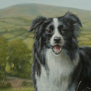 Border Collie Dog Art Portrait. Original Painting by UK artist JOHN SILVER B.A. 45 x 35 cm on stretched canvas image 2
