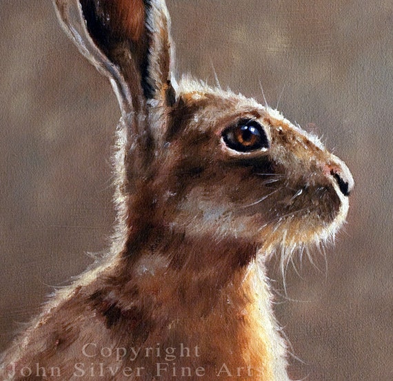 WILD HARE PORTRAIT by JOHN SILVER SIGNED A4 or A3 SIZE PRINT HA003SP