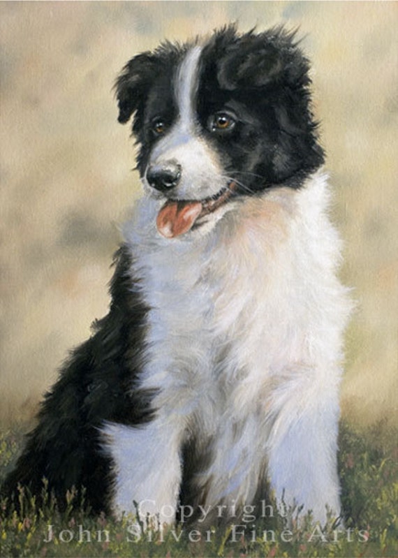 border collie painting