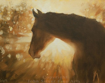 Horse Portrait. Original Oil Painting by JOHN SILVER. B.A. 16 x 12 inch on Canvas Panel.
