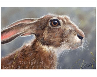 Hare Wildlife Portrait by award winning artist JOHN SILVER. Personally signed A4 or A3 size Print. HA003SP