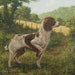 see more listings in the Canine Originals section