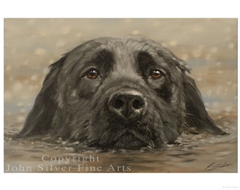 Black Labrador Dog Portrait by award winning artist JOHN SILVER. Personally signed A4 or A3 size Print. BL437SP