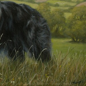 Border Collie Dog Art Portrait. Original Painting by UK artist JOHN SILVER B.A. 45 x 35 cm on stretched canvas image 3