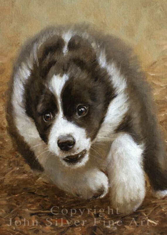 Aceo Dog Print Border Collie Puppy From An Original Painting Etsy Aceo Dog Print Border Collie Puppy From An Original Painting Etsy