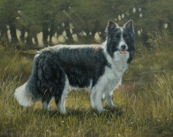 Border Collie Dog Realist Portrait. Original Detailed Painting by UK artist JOHN SILVER B.A. 16 x 12 inches on Wood Panel.