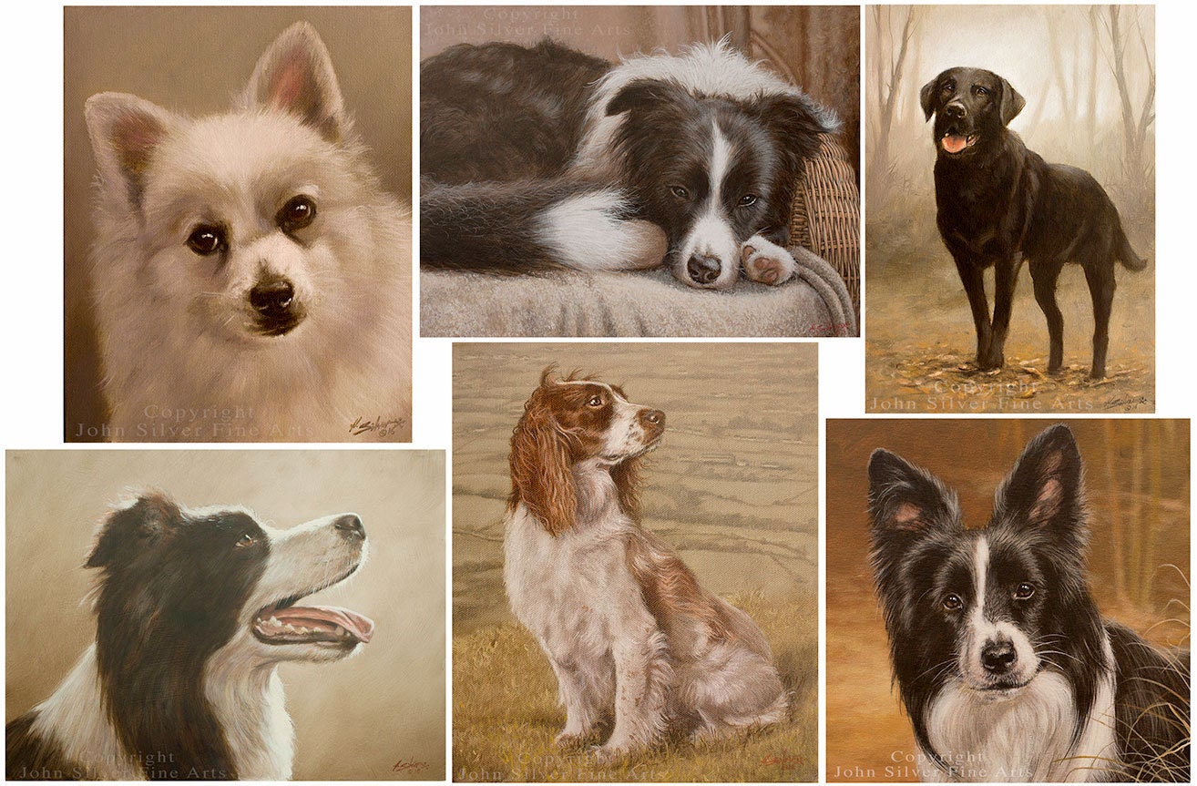 Is Head And Shoulders Ok To Use On Dogs