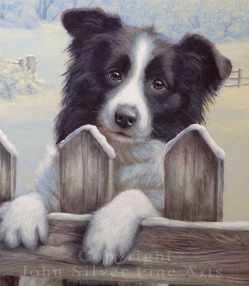 Border Collie Limited Edition Print. ready for Work. Personally Signed