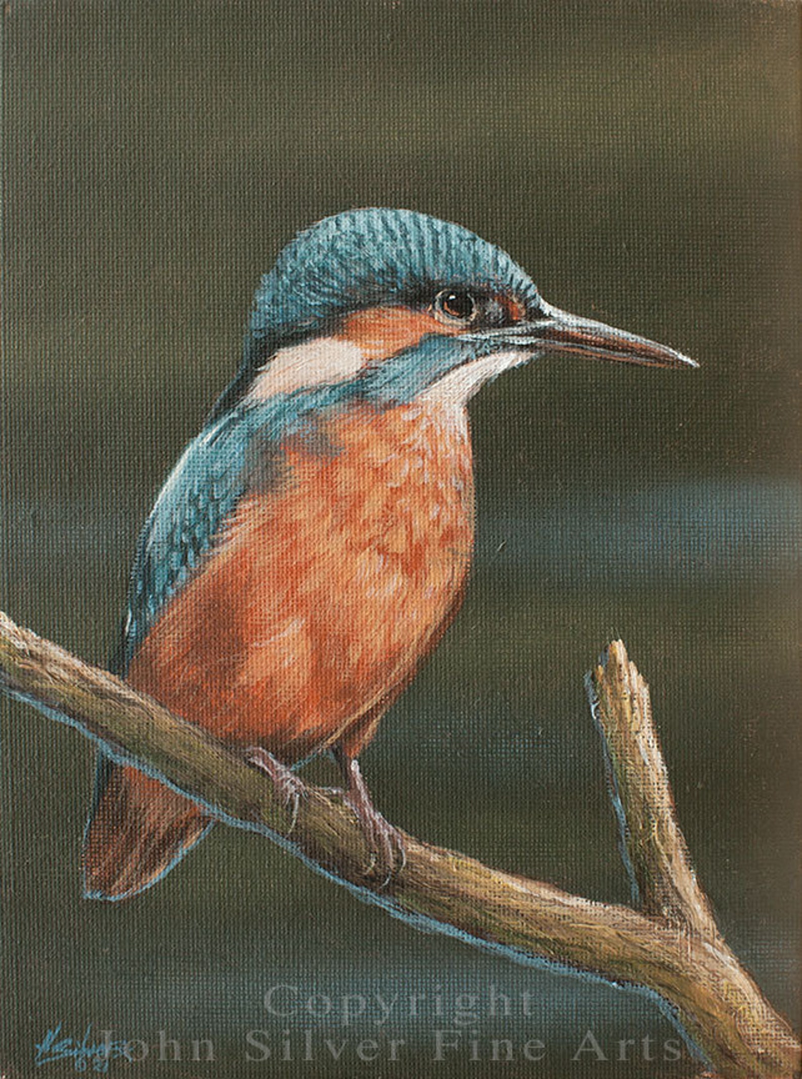 Kingfisher Portrait. Original Acrylic Painting by award | Etsy