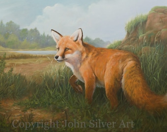 Realist Fox Portrait. Original Detailed Fine Art Painting by UK Artist JOHN SILVER. B.A. 36 x 24 inch on Stretched Canvas.