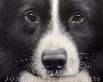 Aceo Dog Print, Border Collie. From an Original Painting by Award Winning Artist JOHN SILVER. Personally signed. BC014AC