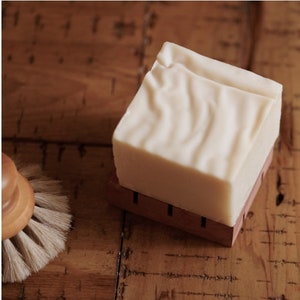 Dish Bar | Plastic-Free