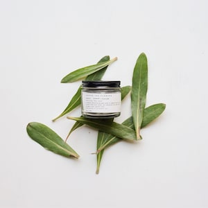 Purify / Seaweed + Charcoal Clay Mask