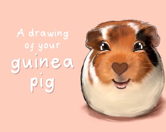 Digital Pet Portrait | Chinchilla Art | In Memory | Furry Friend | Personalised Guinea Pig Art | Guinea Pig Bed | Himalayan Guinea Pig